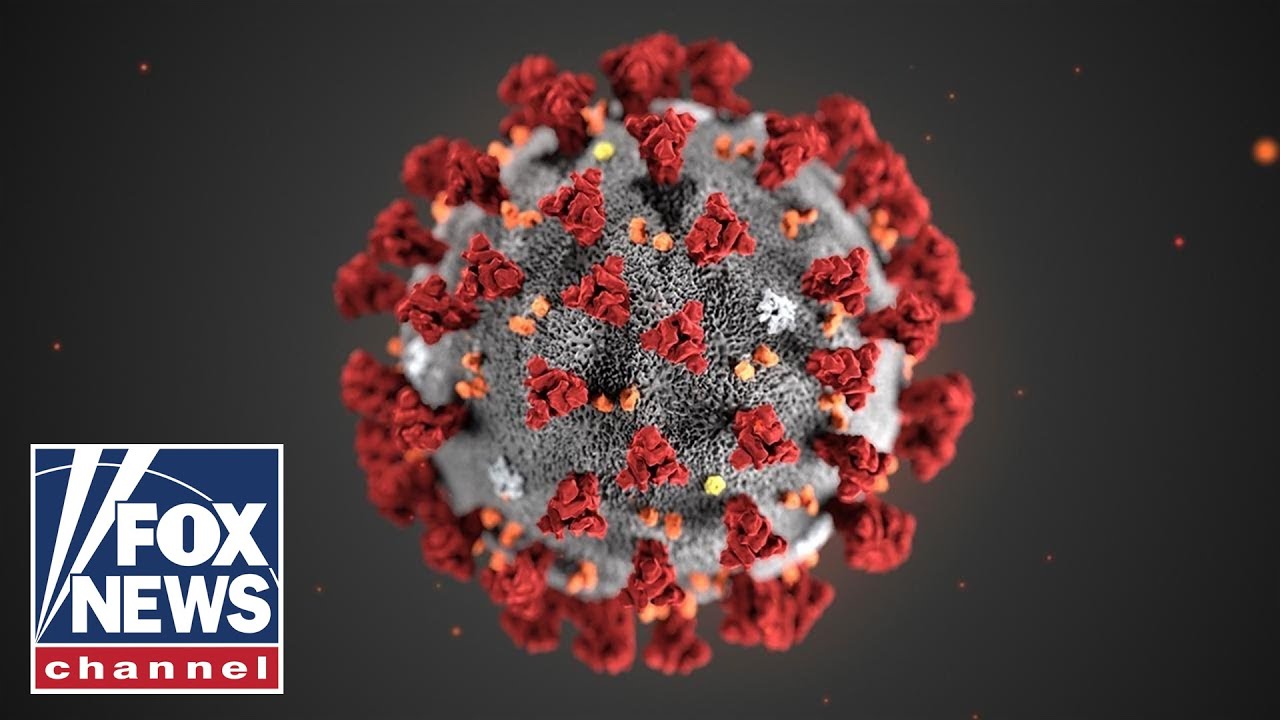 How new COVID strains challenge the vaccines | FOX News Rundown