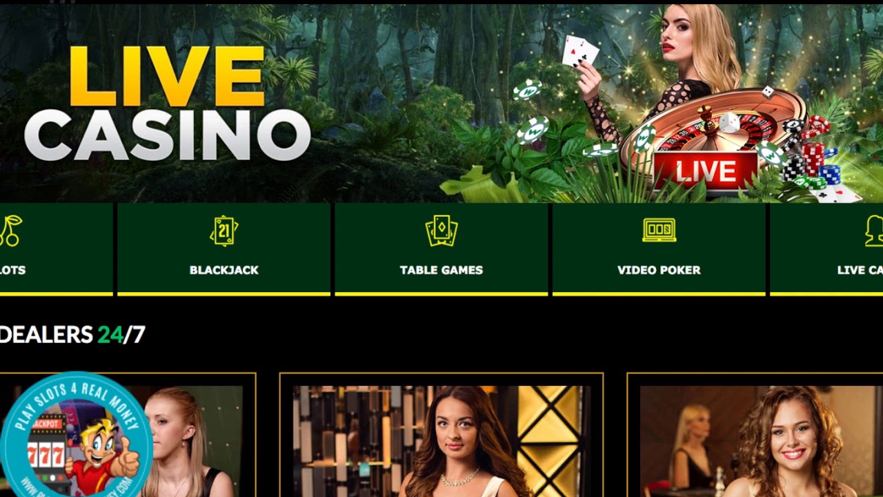 [WILD CASINO CASINO BONUS CODES] | ‘NO DEPOSIT CASINO BONUSES & REVIEWS’ ?  PLAYSLOTS4REALMONEY