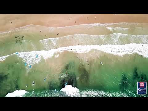 JEFFREYS BAY AREA